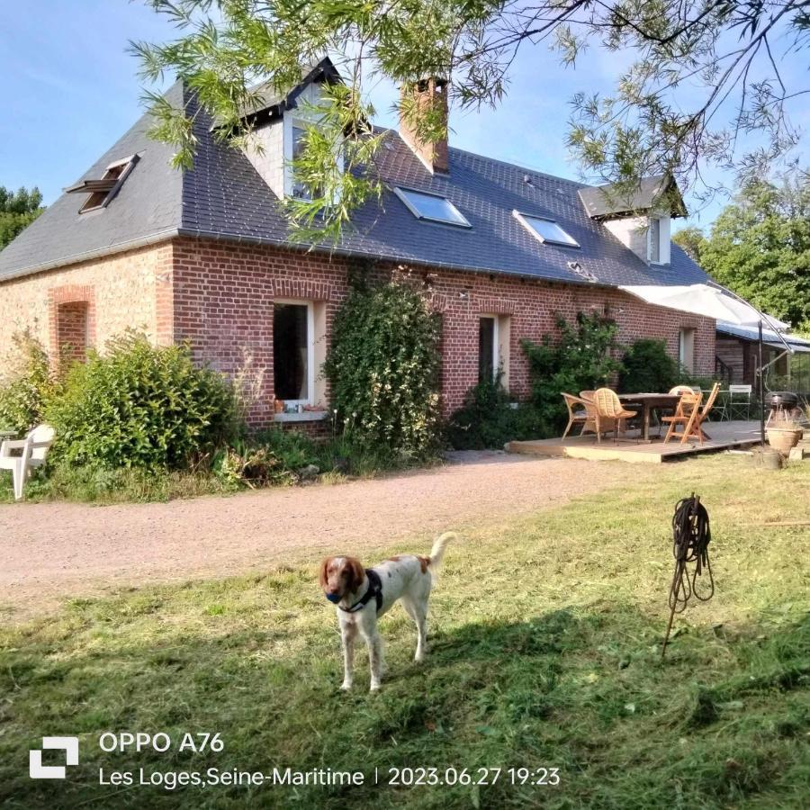 Une Chambre Dans La Verdure Bordeaux-Saint-Clair Kültér fotó